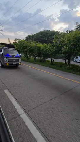 🐷🐷🐷 #foryoupage #camionesconestilo #lomasviral #paratiiiiiiiiiiiiiiiiiiiiiiiiiiiiiii @miguel @Alfredo Gonzaléz @Wilson 😏 @_MARY_• @Antonio Martinez@Alexander Rivera @carlosorellana8758 