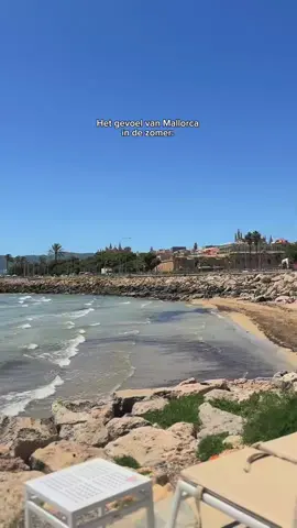 Op een paar minuten van het strand van Can Pastilla ligt Hotel Alua Leo – een fris en modern hotel met zwembad, buffetrestaurant en alles wat je nodig hebt voor een relaxte vakantie op Mallorca. Palma, gezellige bars en het strand zijn altijd dichtbij. Ideaal voor zonzoekers die comfort en locatie willen combineren. 📸: @agostinamusic! #AluaLeo #CanPastilla #Mallorca #Strandhotel #Zonvakantie #MallorcaVibes #HotelMallorca #TravelSpain #BeachEscape