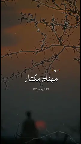 ustad #minhajmukhtar  #pyfツ #10klike #viralvideo #foryoupage #foryou  @☞ siraj_baloch @جہانزیب راہچار❣️ @Shahid Rind 