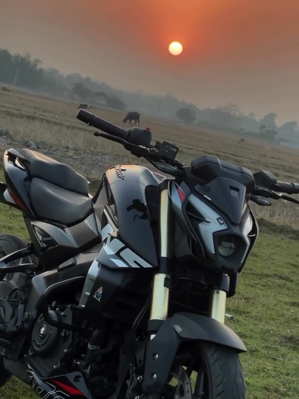 🔥 The Legend Has Arrived – Pulsar NS400Z 🔥 Meet the 400cc King of the Streets 🏍️ – designed for riders who are Born to Lead 👑 ✅ Aggressive Design ✅ Advanced Technology ✅ 2 Years Warranty ✅ 2 Free Services ✅ Free Helmet + Toolkit ✅ 2 Pearl Bay Tickets 🎟️ ✅ Easy Leasing Available 💳 📣 Pre-Booking Now Open – Limited Stock! 🚫 Don’t miss your chance to own the biggest Pulsar ever! 📍 Maryam Motors No. 82, 84, New Kalmunai Road, Kattankudy 📞 078 877 3111 🛵 Come. Book. Dominate the road.#PulsarNS400Z   #NS400Z   #BornToLead   #BajajSriLanka   #MaryamMotors   #StreetKing   #RideWithPower   #BikeLife   #BikerGoals   #400ccPower   #MotorbikeMadness   #NewBikeAlert   #SriLankaRiders   #BikeDealerSL   #ThrottleAddict   #BikeNationSL   #No1Dealer   #RideWithStyle   #BeTheKing   #NSLover   #ViralPost   #fyp #sponsored 