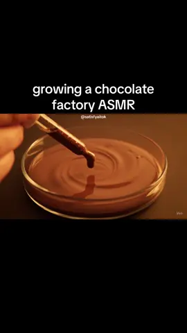 thank you @princezzshira for the suggestion! #asmr #aiasmr #veo3 #chocolate #fyp 