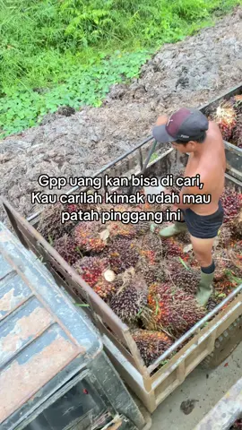 😅#pemuatsawit #xyzbca #masukberanda 