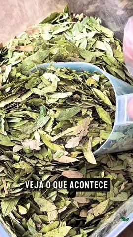 Quer dar aquela ajudinha natural no seu intestino? 😁💩 Conheça o chá de sene🍵 Famoso por seu efeito laxante suave e eficaz! Ideal para quem sofre com intestino preso e quer um alívio rápido e natural. ⚠️ Use com moderação e orientação, hein? Nada de exagerar! 📍Disponível aqui na Naturality!#chadesene 