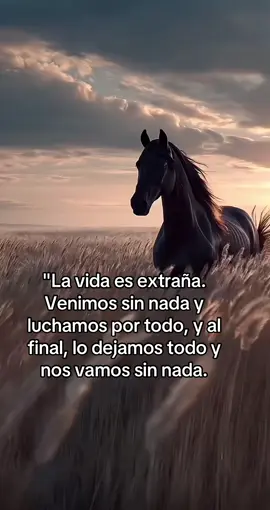 #fypppppp #asi #es #la #realidad 😔😔😔😔😔