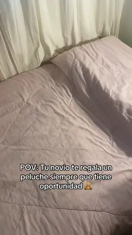 🫶🏼🧸