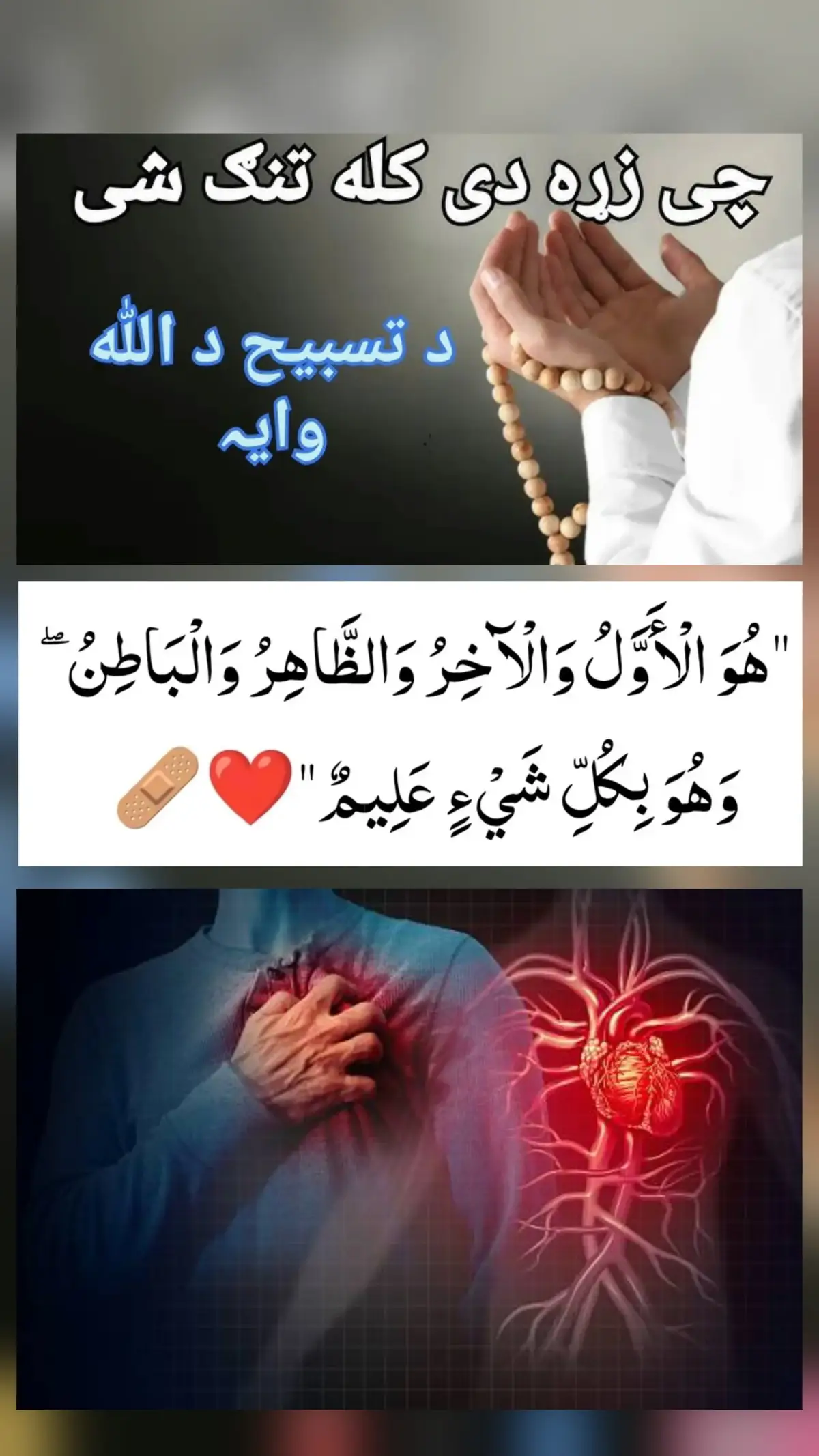 #pashto #islami #bayan #bayan #islamic_video #muslim #today #trinding #viralvideos #foryoupage❤️❤️ #پختون #پشتون #وظائف #زړه 