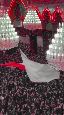 أبد_والله_لن_ننسى_حُسينا..❤️‍🩹 #محرم  #عاشوراء  #كربلاء_المقدسة  #وفاء_للحسين_محرم  #ميرزا🍂  #foryoupage  #fypag  #اكسبلور  #العتبة_الحسينية_المقدسة  #باسم_الكربلائي 