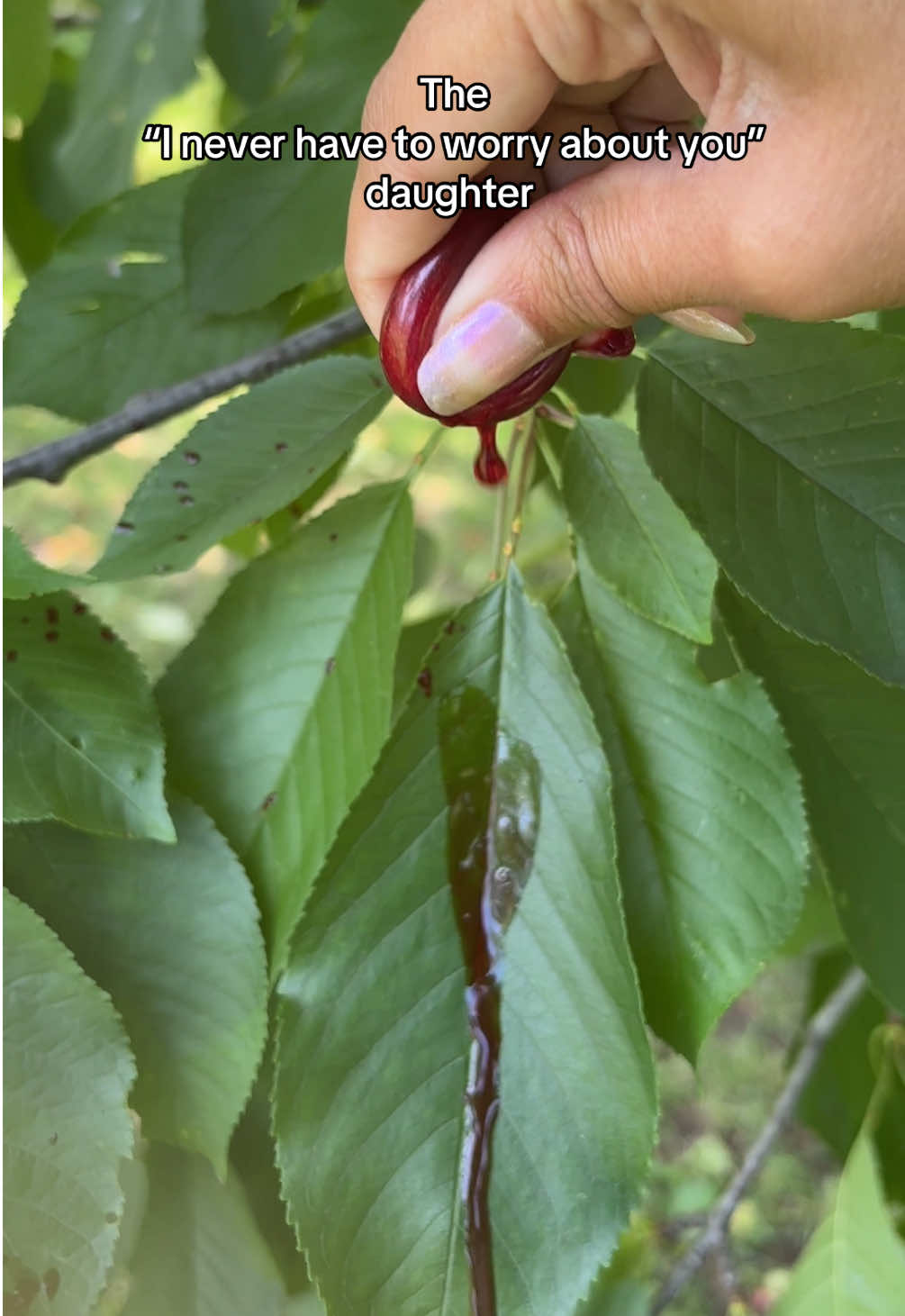 Those we overlook are often carrying the heaviest truths. 🥀 #BookTok #bookrec #DarkAcademia #writer #writers #author #authorsoftiktok #melancholy #lanadelrey #sylviaplath #janeausten #gothic