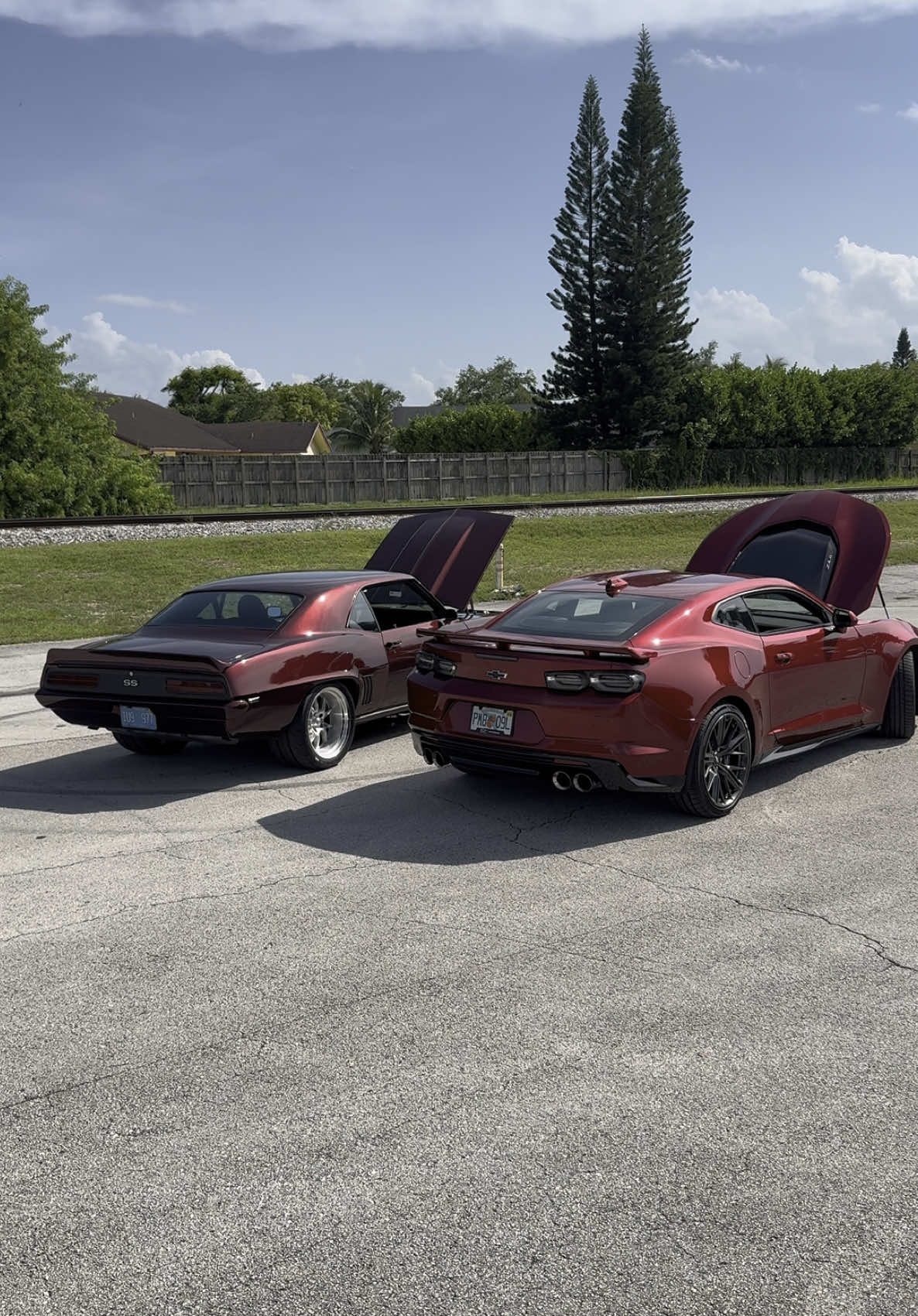 hellcat who? #fyp #cars #americanmuscle #cartiktok #fyppp #viral #camaros #camarozl1 #69camaro 