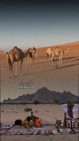 #أكسبلور_شعر_حكم_خواطر 