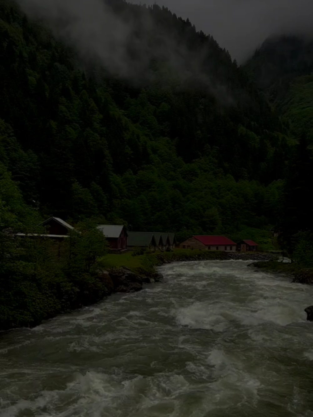 سوڕەتی (التغابن) - القارئ : سعد الغامدي