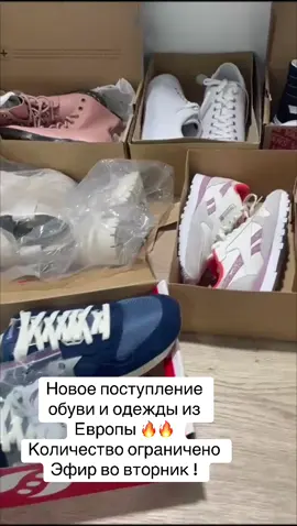 #евросток#бренд#brandatiktok 