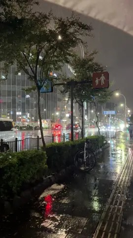 #japan #korea #nightwalk 