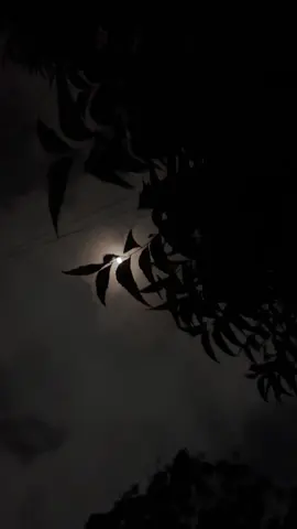 𝐌𝐚𝐤𝐮 𝐝𝐢𝐫𝐚𝐲 𝐣𝐚𝐜𝐞𝐲𝐥 𝐰𝐚𝐥𝐢 💕🫶