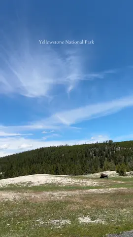 Yellowstone National Park ✨ #yellowstone #yellowstonenationalpark #nationalpark #traveling #travelingwithkids #mustvisit #mustsee #MomsofTikTok 