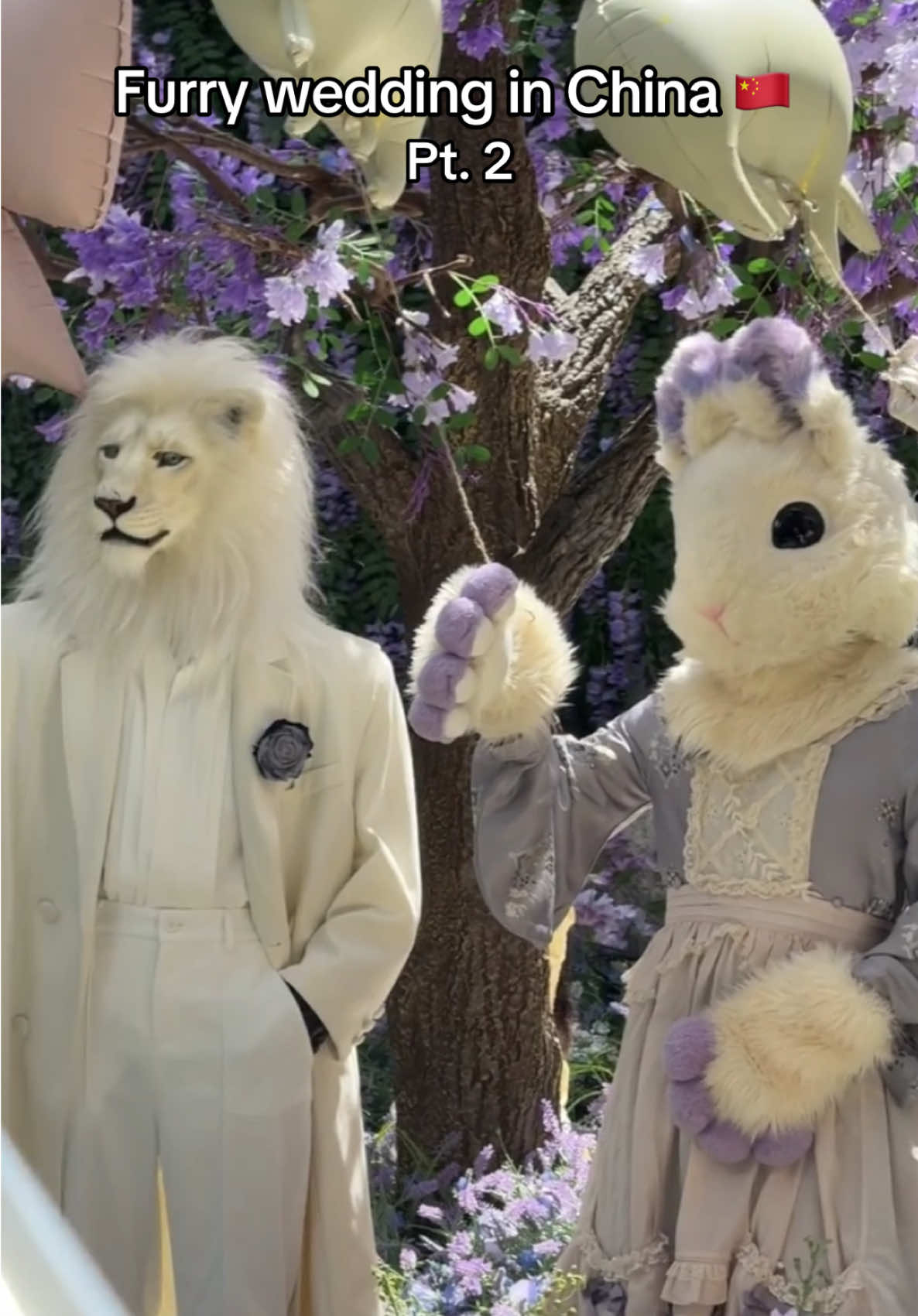Such stunning cosplay and setting, he truly looks like royalty ☆ ⭐️ Visit @Dokidoki Furrystudio or check the link in bio for fursuits and accessories! Use code: 