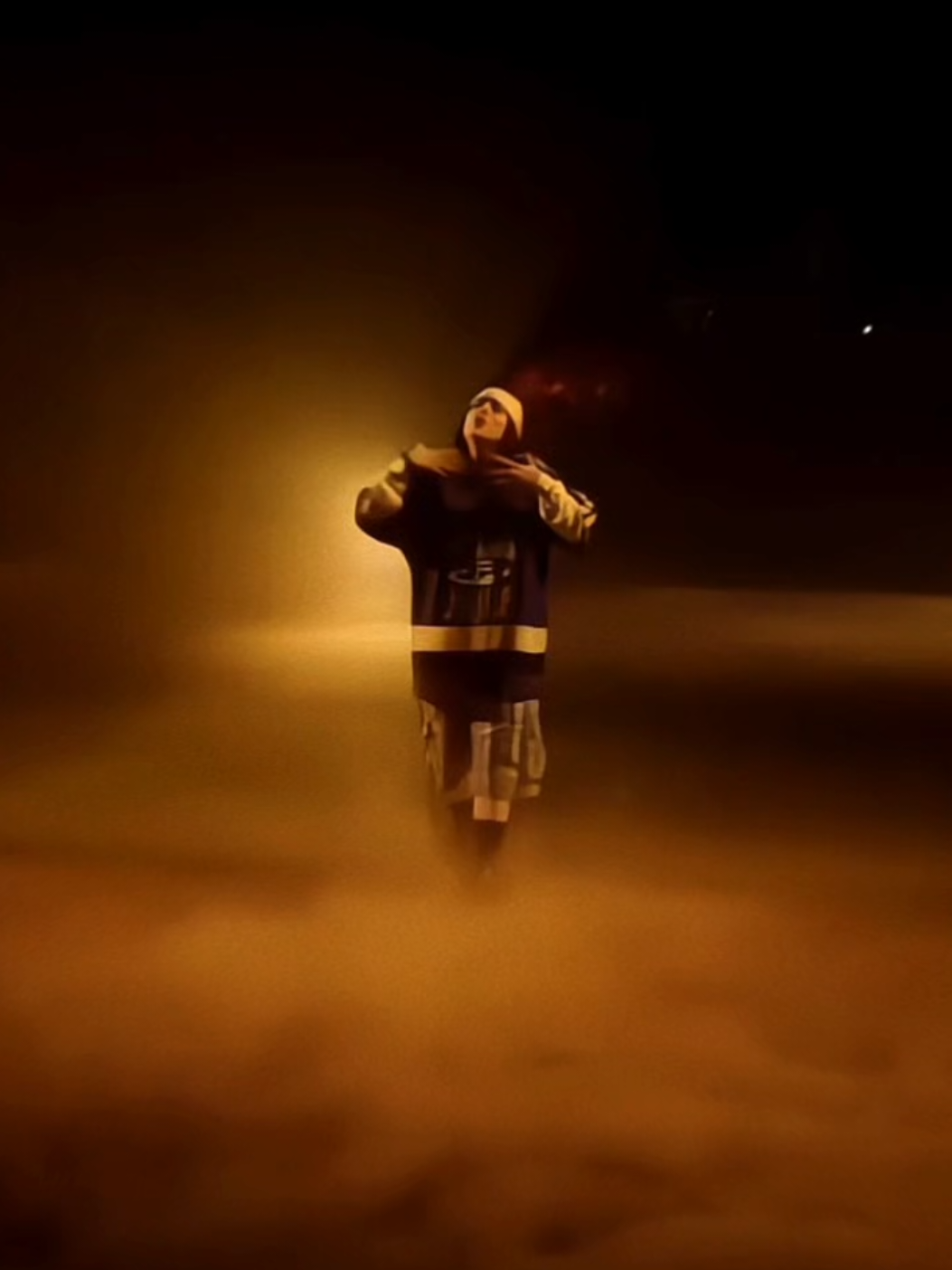 ⚠️ FLASH WARNING⚠️ NDA - Billie Eilish  #billieeilish #billieeilishvideos #billieeilishedit #hmhas #nda  @BILLIE EILISH @FINNEAS  inspired by @ gimihedil 