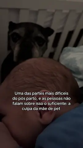 Ela sabe que a vida dela nunca mais será a mesma 😢 #bebe #recemnascido #maternidade #maternidadereal #maedeprimeiraviagem #cachorro #dogmom #maedepet #bulldog #dogsoftiktok 