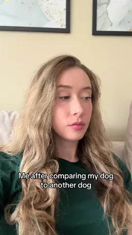 Okay okay… #rottweiler #dogsoftiktok #fyp 