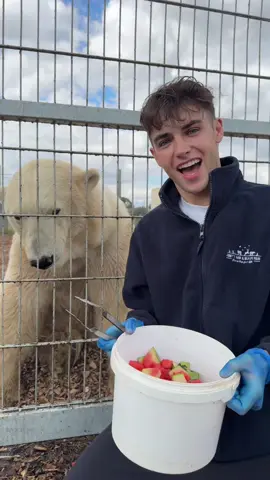 Feeding Ewa the polar bear who came all the way from SWEDEN 🇸🇪🐻‍❄️… her story is so inspiring and I’m so glad she now gets to live at Europe’s LARGEST polar bear reserve! ❤️ she is just so adorable @jimmysfarmhq 