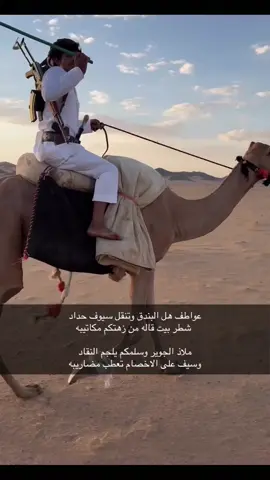 #عشق_البدو #البل #جفرة_الصاقب #محضب #الاروسه #الفارسيه #الهمجه #برقا_روق #قحطان #اكسبلور #اشبل #الشامخات #اكسبلور #تعلقاتكم #فولو #تصميم_فيديوهات🎶🎤🎬 #تصويري #قصايد #تحدي #البل #مهرجان 