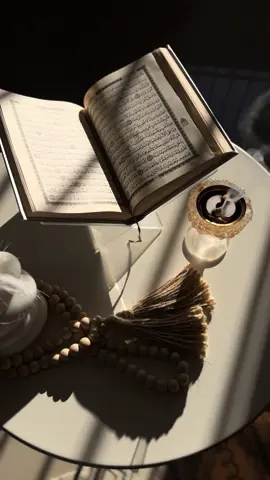 #صاحبه_السمو👑💛 