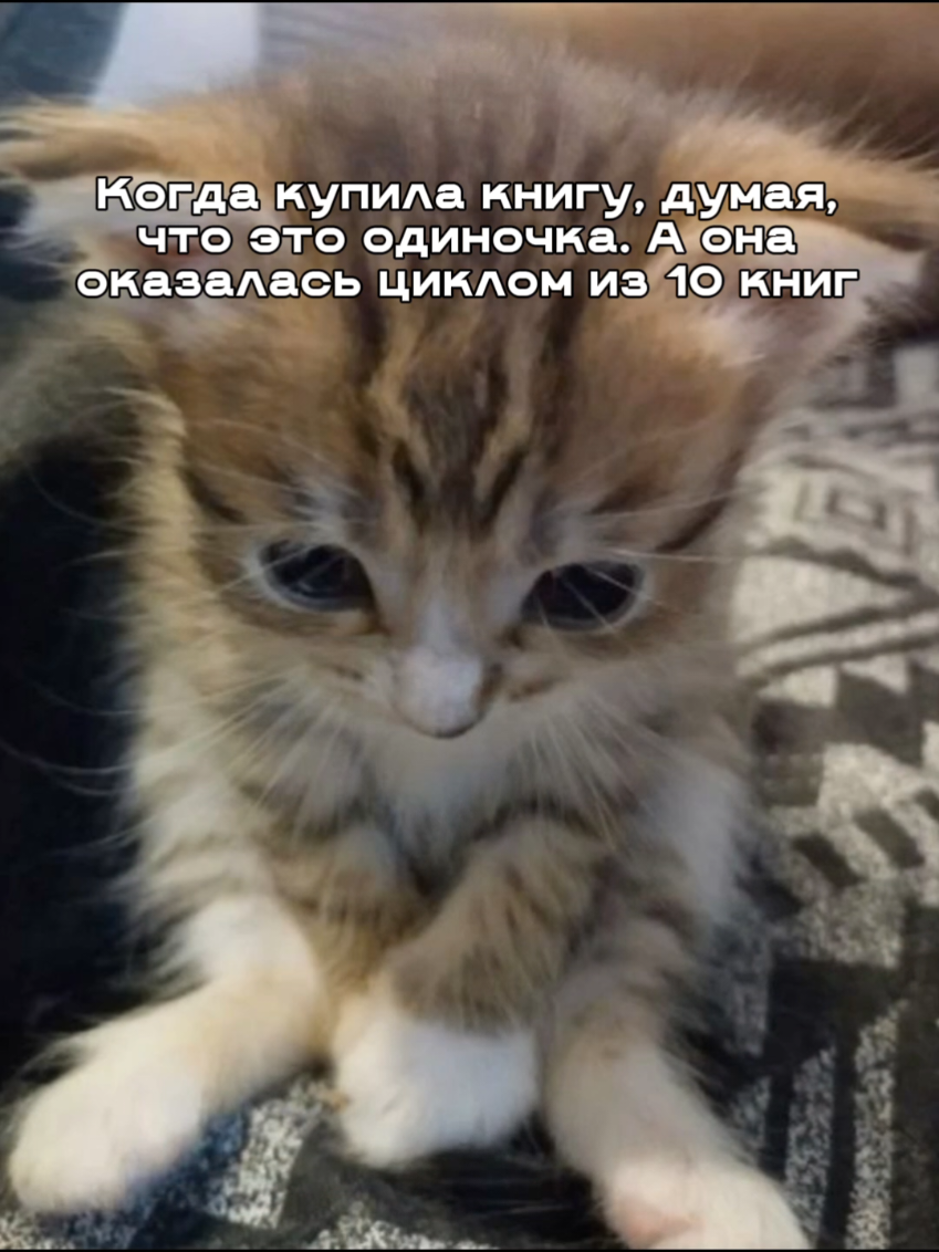 #books #BookTok #книги #букток 