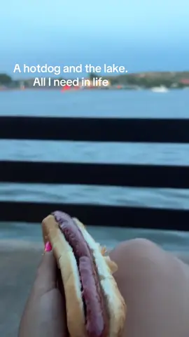 Hotdog 🌭😍🎸💪#viral #foryoupage #fyp #fireworks #wreckem 