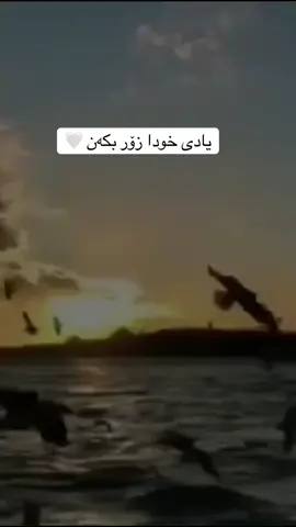 #CapCut #الله_اكبر #پۆستی_ئاینی🕋 #fpyシ #fppppppppppppppppppp #زیکرێک_بکە_بۆ_قیامەتت #islam #foryou 