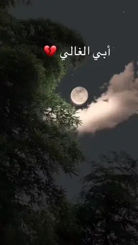 #رحمك_الله_يا_فقيد_قلبي😭💔 #اغفرلي_ولوالدي_وجميع_المسلمين_والمسلمات 