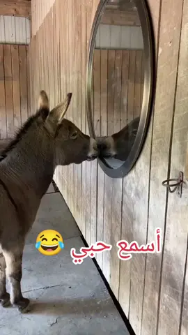 #منشن #البيست_فريند #😂😂 