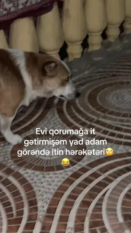 #keşfet😂😂 
