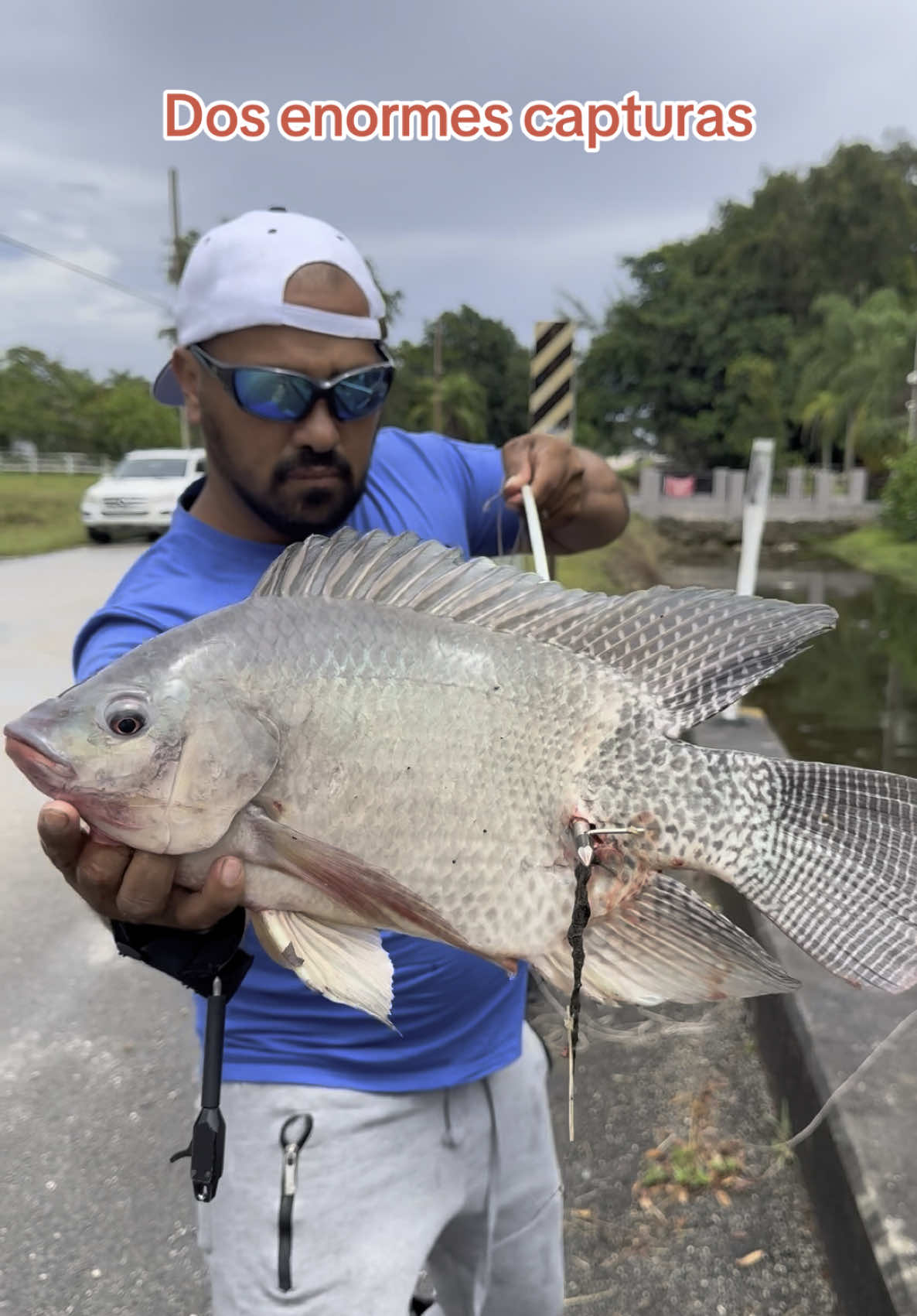 Pescado con arco en Miami #bowhunting #bowfishing #arcocompuesto #viral #tilapiafish #tilapiafishing #riverfishing #riverlive #invasivespecies #especiesinvasoras #videofishing #pescaconarco #pescaencanales @leyanetferrera @AR_AUTOS_SALES @Pesca con Camagüey 