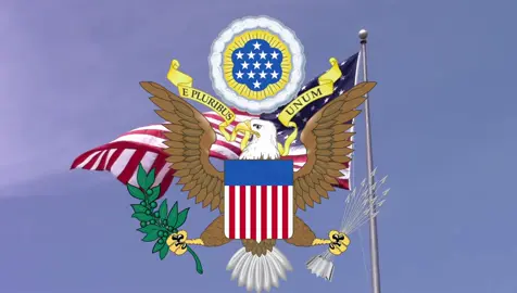 #USA #america #tiktok 