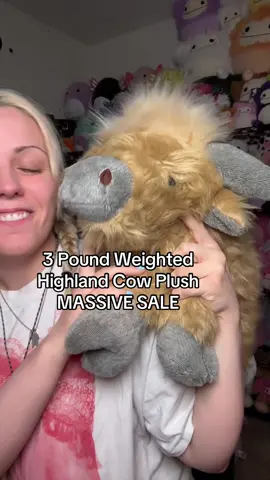 He’s secretly heatable 🤫 Run before he sells out! #highlandcow #weightedanimals #weightedplushies #plushies #forher #StressRelief #comfort #healing #giftsforher #tiktokmademebuyit #dealsforyoudays 