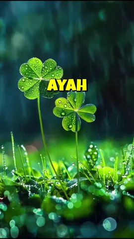 #ayah 
