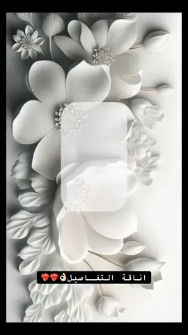 كلكم روحو لها وقولولها من طرف ٢٠٠٤مِ لاحد يقصر معها الكل يدعمها وهذا حسابها @تصميـم دعوات #نوني #شعر💛 #الشاقه_حفار_الوسقه_الليث_الساحل #السعودية #الشعب_الصيني_ماله_حل😂😂 #اكسبلورexplore #مالي_خلق_احط_هاشتاقات #fyp #fypシ #viralvideo #viral 