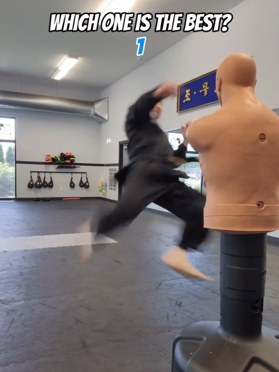 Which one is the best? . VC: @yoobirama  #taekwondo #martialarts #karate #martialarts #fyp 