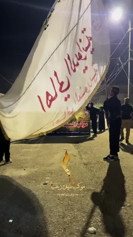موكب السيده زينب ع #موكب_السيده_زينب_اهالي_شافعيه #محرم_الحرام #عاشوراء #الشعب_الصيني_ماله_حل😂😂 