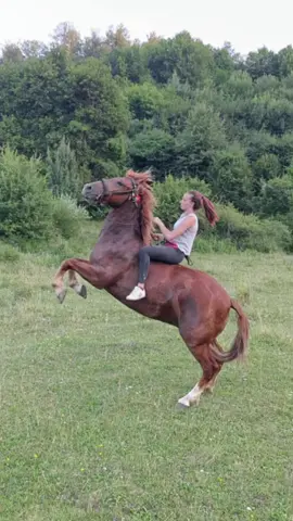 #lakold😍👌 #szoljhozaa❤☝️ #kicsilovam😍🐎✨👑 #midenem❤👑🥰 #szeretlek #legfobtosabakalovak❤️‍ #vilagoszesszeretetevel❤️ #csaknekedfypba👌 #csokkutyak #hiremert💪😉 