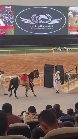 #نادي_الوطن 🏇#شايب #معنقر #خيل_وخياله🐎 #خيل_وخياله🐎 #اذكروا_الله #اللهم_بارك #ربي_يبارك_في_ارزاق_الجميع #ليبيا🇱🇾 #بنغازي #طرابلس #مصراته_الصمود🇱🇾🇱🇾🔥😌 #مدن_ليبيا_كلها❤ #الشعب_الصيني_ماله_حل😂😂 #منورين_جميعآ🔥❤️ #الهيئة_الليبية_لسباق_الخيل #المصمم #محمد_قاسم_اغا📸 #اكسبلور  @مصيف تولين العائلي تاجوراء 🌞 
