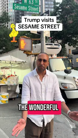 Someone check Big Bird’s papers #newyorkcity #sesamestreet 