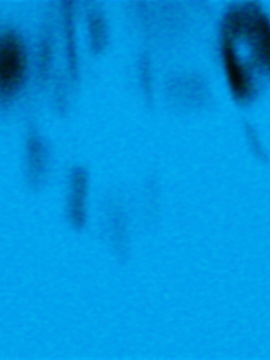 shit post l #fypp #aftereffects #viral #edit #foryou #jugg #juggedit #amv #foru #aftereffectsedits #amvedit #smooth #twixtor #remap #fyp #anime #animeedit #batman #batmanedit #batmanarkhamknight #joker