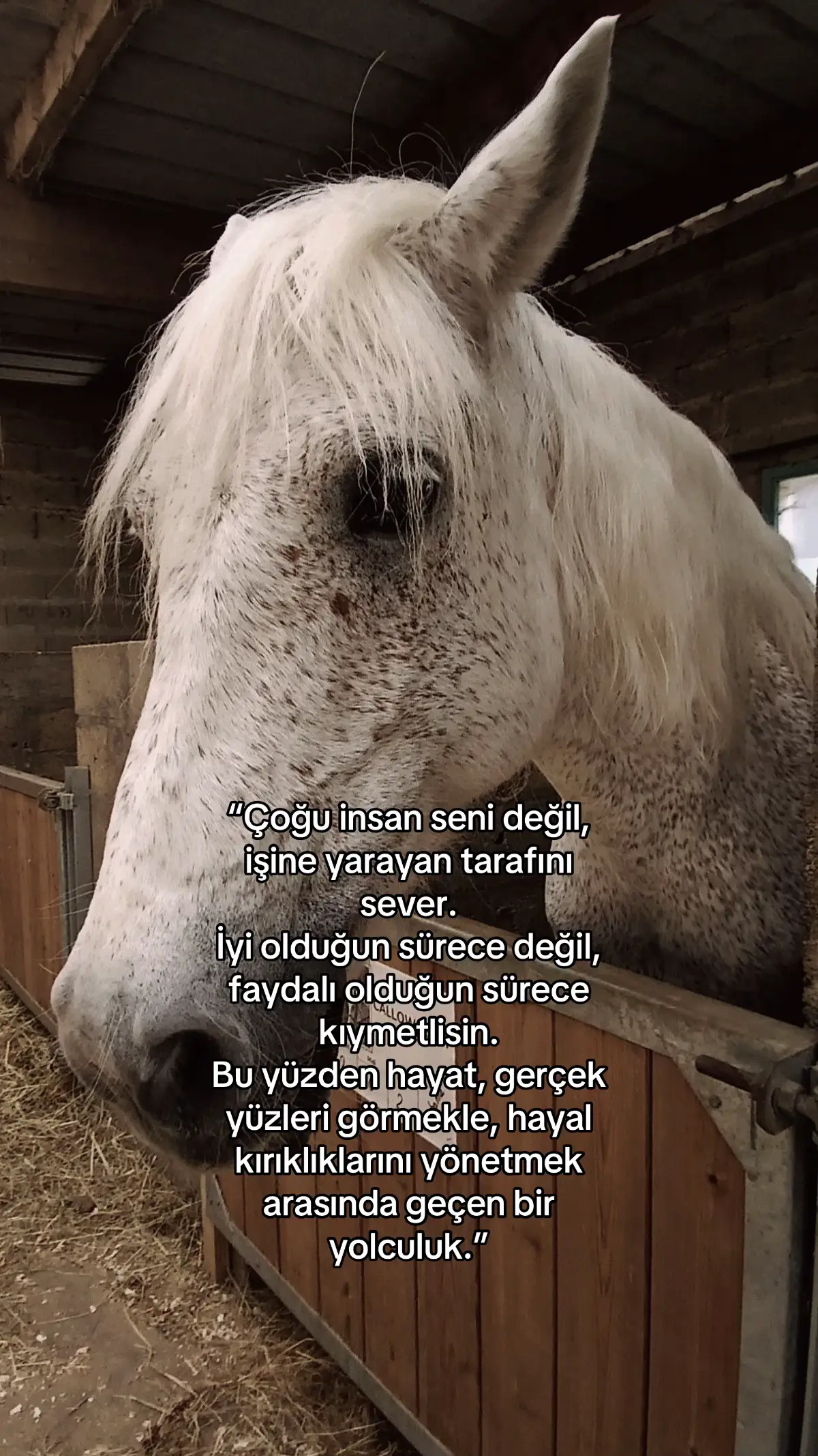 #beniöneçıkart #onecikarttiktok 