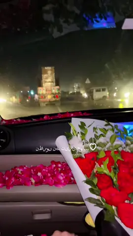 Lifeline🫶🏻❤️ #foryou #trending #flowers #longdrive #vibe #romenticcouple_love❤ #handinhand 