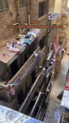 بقولك صف اول علي البحر يا باشاا #بحر #اسكندريه #خالد_بن_الوليد   #pov #foryou #samoo7a #alex #alexandria #alexandriaegypt🇪🇬 #egypt  #الشعب_الصيني_ماله_حل😂😂  @Youssef Sherif @𝕱 𝖗 𝖎 𝖘 𝖐 𝖆🔥 @Andy 😂😂😂