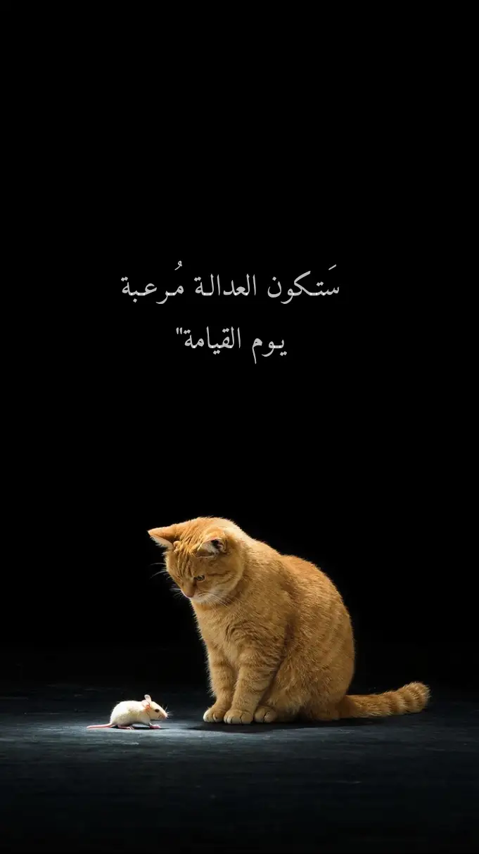 #صعدو_الفيديو #لايك__explore___ #لايك_متابعه_اكسبلور_كومنت 