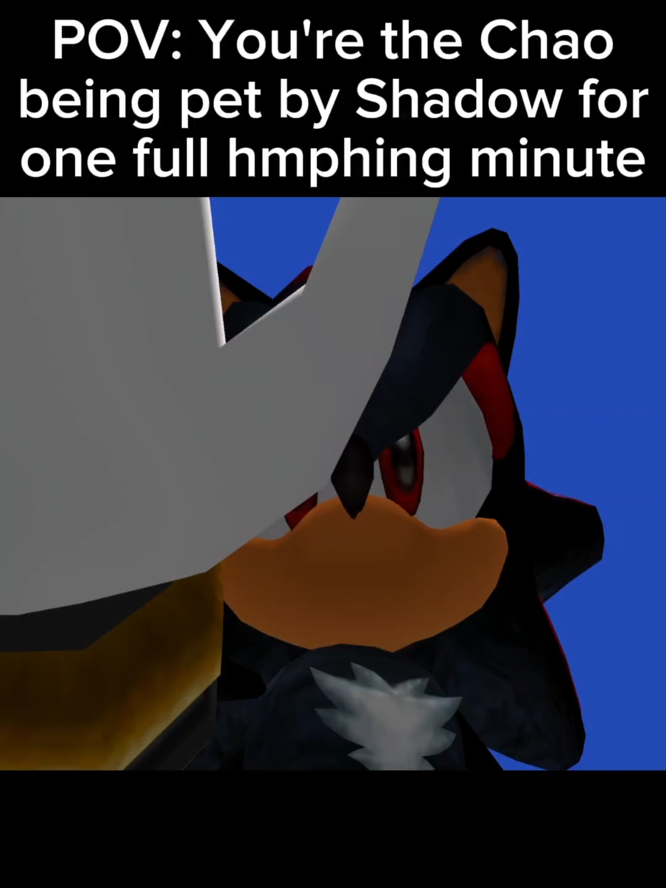 Hmph #chao #chaogarden #sonicadventure2 #sonicthehedgehog #shadowthehedgehog 