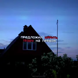 на первом свидании // #meowpersss #lyrics #напервомсвидании #предложилку #рить #траvу #онгениален #wokawona #онгениален 
