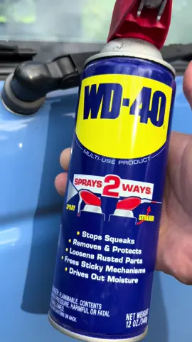 Clean your cars buggy crusty paint and remove those bugs with some wd40 and prevent them from coming back! #carhacks #tiktokautocampaign #carrepair 